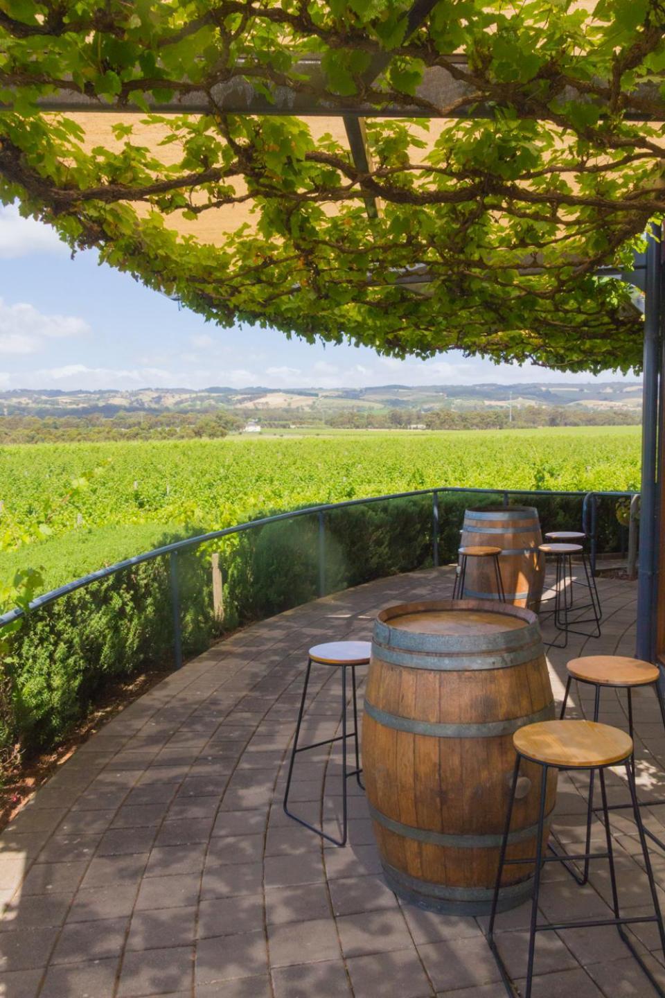 Mclaren Vale Studio Apartments Exterior photo